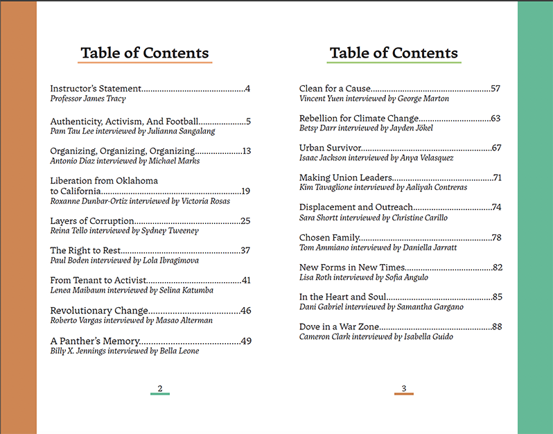 A spread from an activism zine. This shows the contents page.