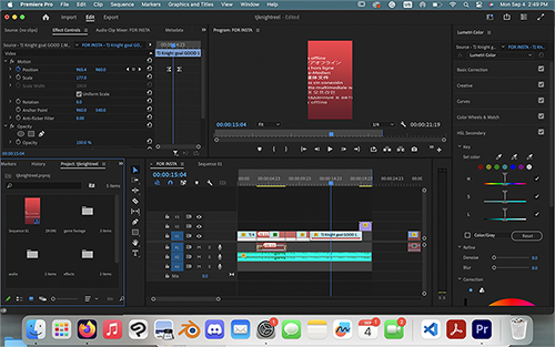 screenshot of a project in premiere pro